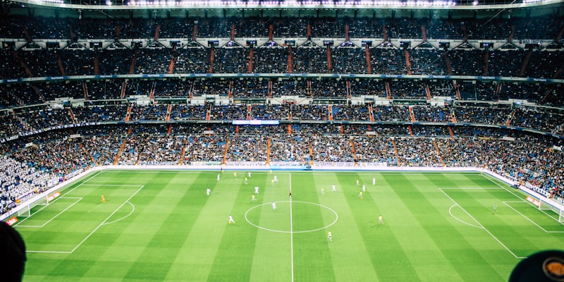 2010年南非世界杯 - 西班牙队伊涅斯塔决赛进球